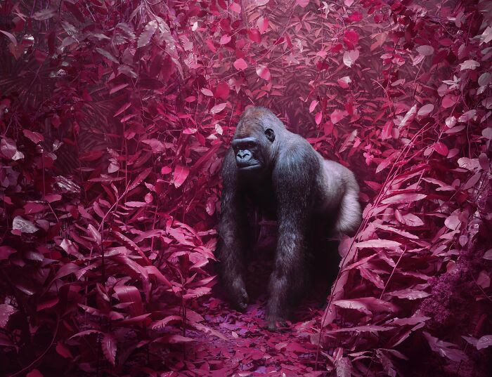 20 Animal Pics That Will Totally Blow Your Mind