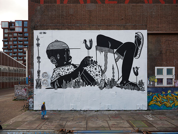43 Black-and-White Murals by Alex Senna That Make City Walls Way More Interesting