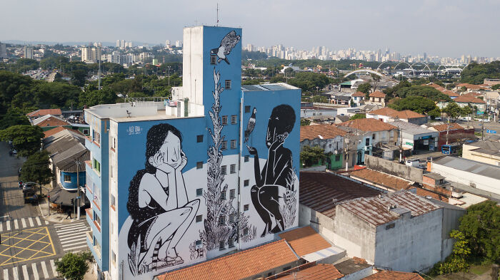 43 Black-and-White Murals by Alex Senna That Make City Walls Way More Interesting