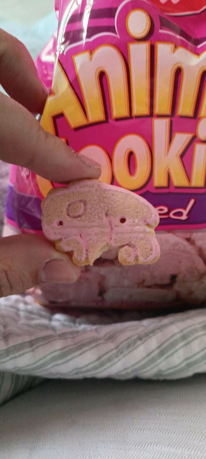 Shrinkflation Shenanigans: When Your Favorite Snacks Secretly Lose Weight!