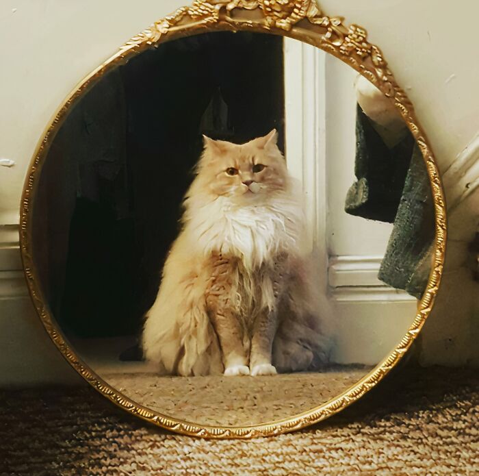 These Photos Accidentally Nailed That Renaissance Vibe and We Can’t Stop Staring
