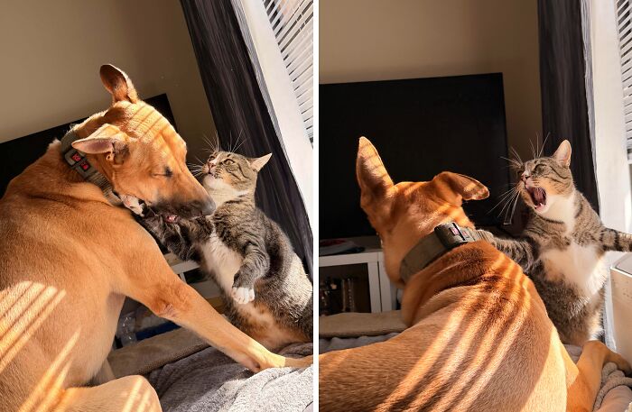 These Photos Accidentally Nailed That Renaissance Vibe and We Can’t Stop Staring
