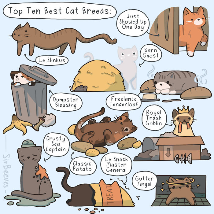 30 Comics That Nail The Weirdness Of Growing Up (You’ll Totally Relate)