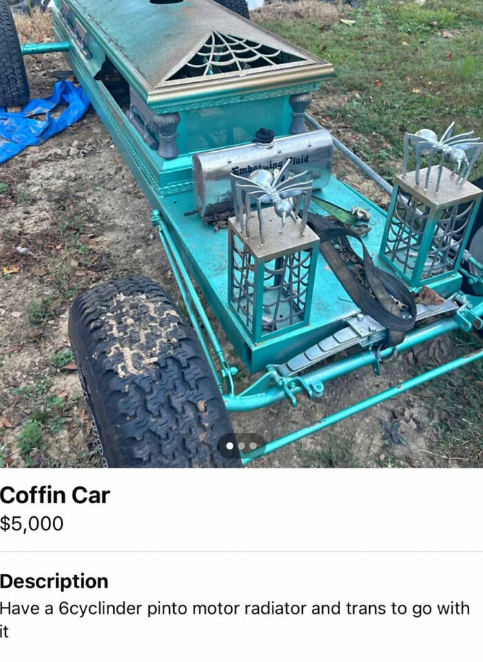Wait, You Won't Believe These Wild Appalachian FB Marketplace Finds!
