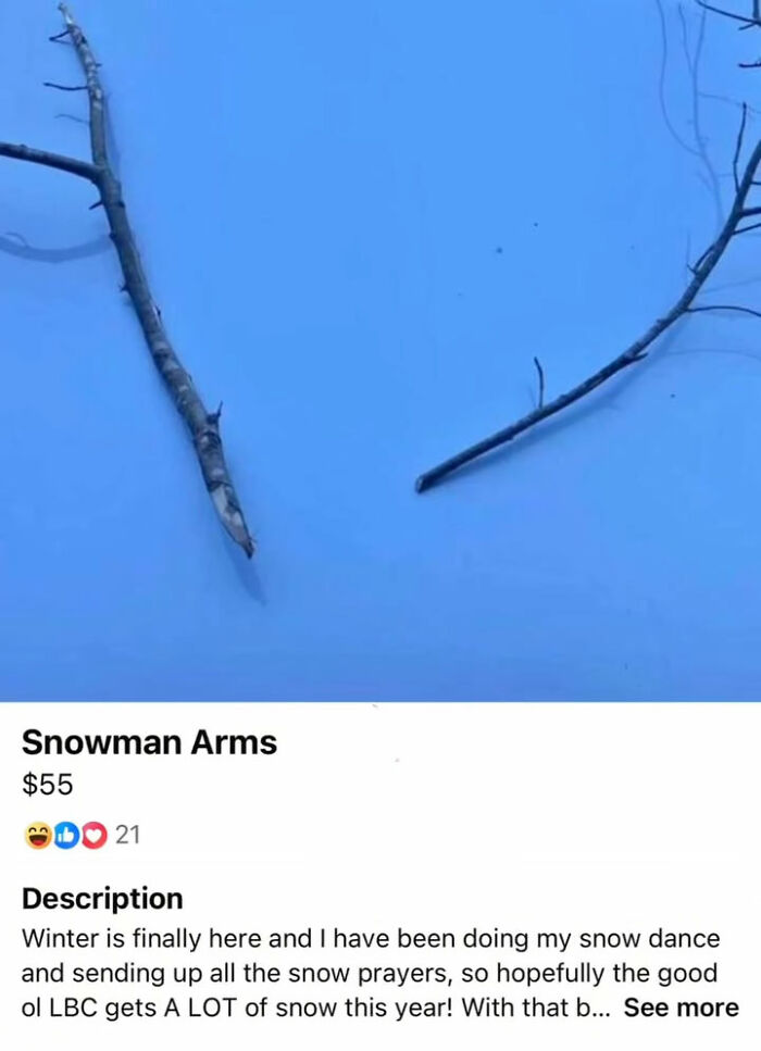 Wait, You Won't Believe These Wild Appalachian FB Marketplace Finds!