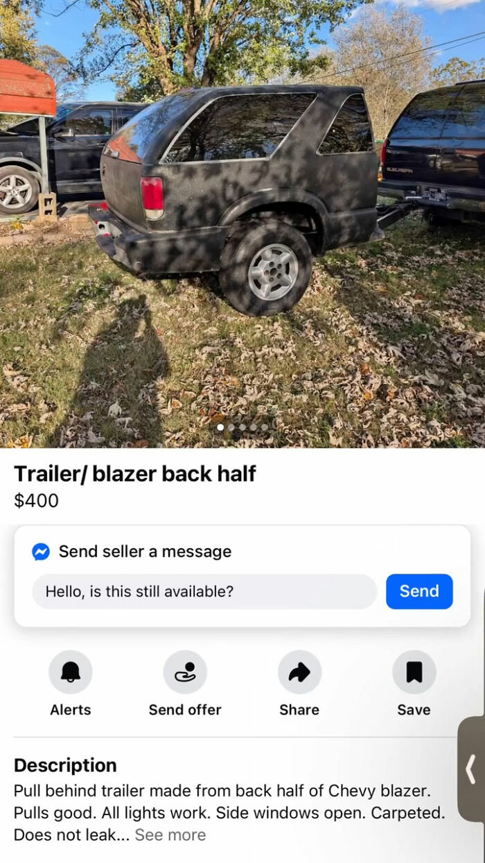 Wait, You Won't Believe These Wild Appalachian FB Marketplace Finds!