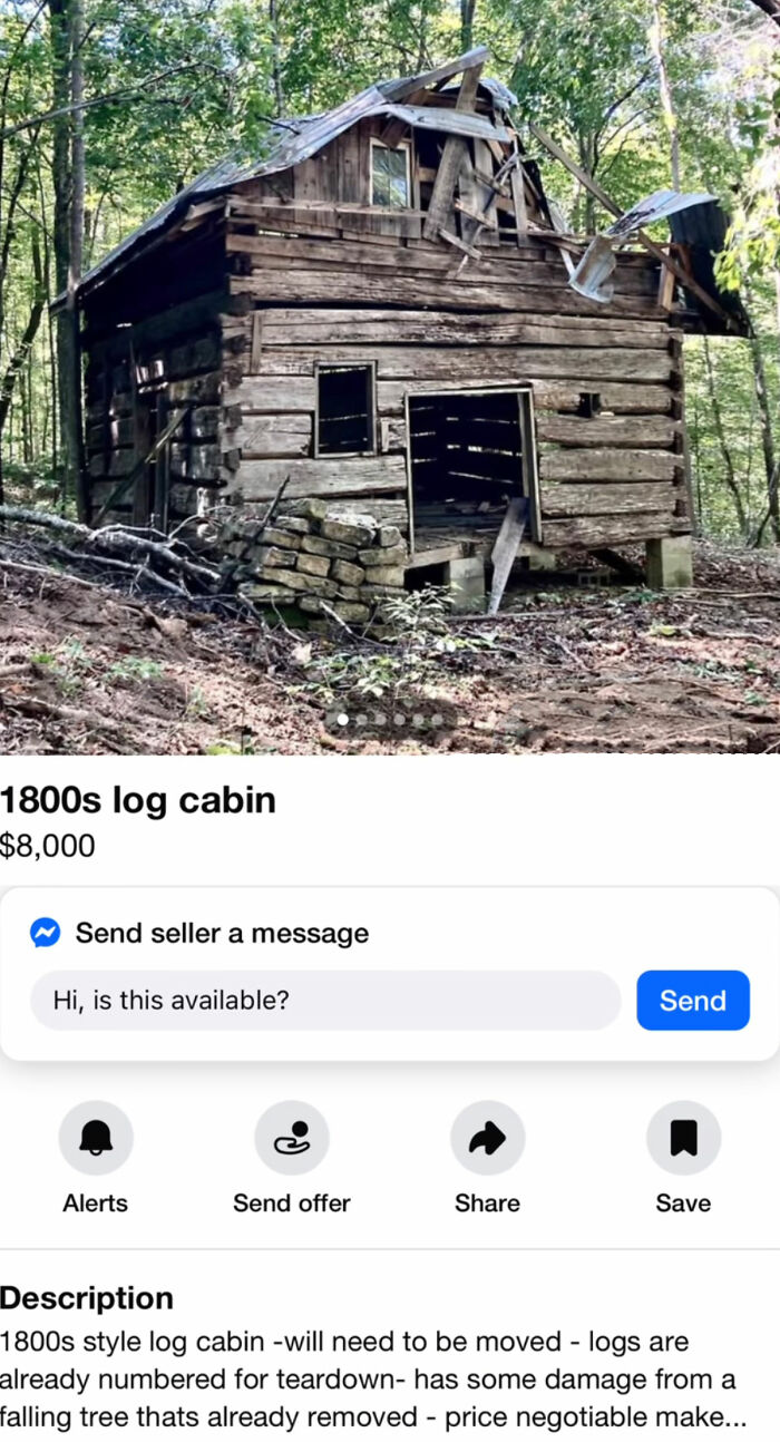 Wait, You Won't Believe These Wild Appalachian FB Marketplace Finds!