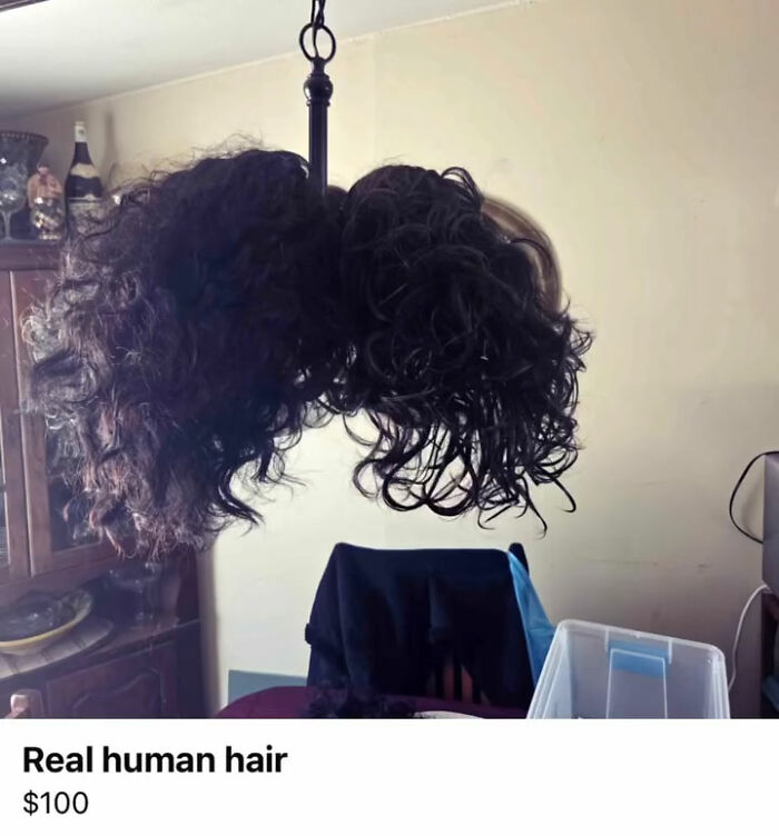 Wait, You Won't Believe These Wild Appalachian FB Marketplace Finds!