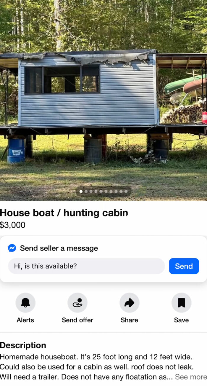 Wait, You Won't Believe These Wild Appalachian FB Marketplace Finds!