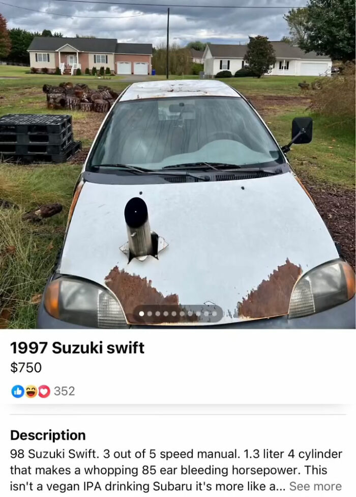 Wait, You Won't Believe These Wild Appalachian FB Marketplace Finds!