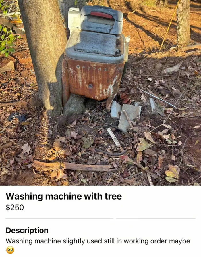 Wait, You Won't Believe These Wild Appalachian FB Marketplace Finds!
