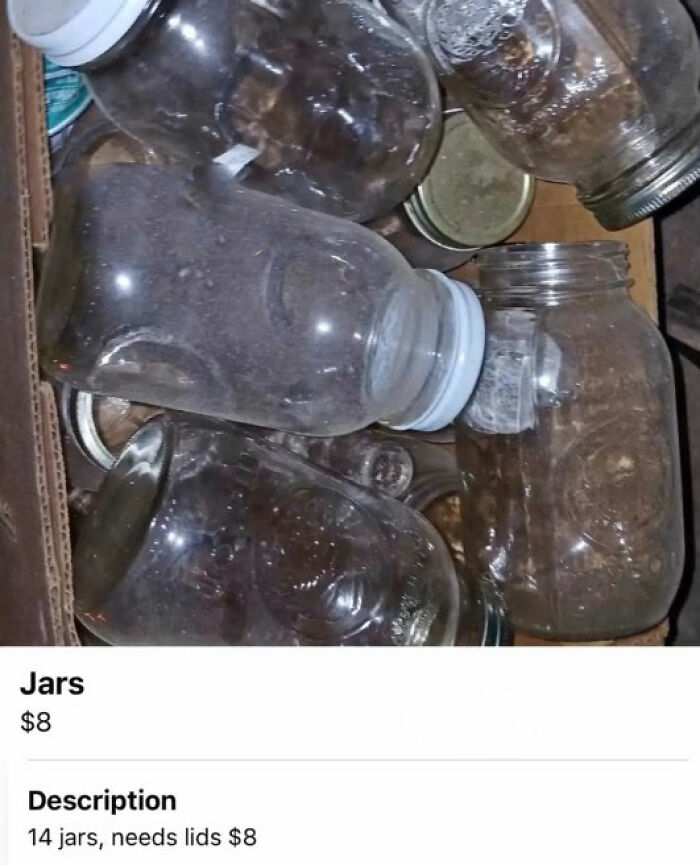 Wait, You Won't Believe These Wild Appalachian FB Marketplace Finds!