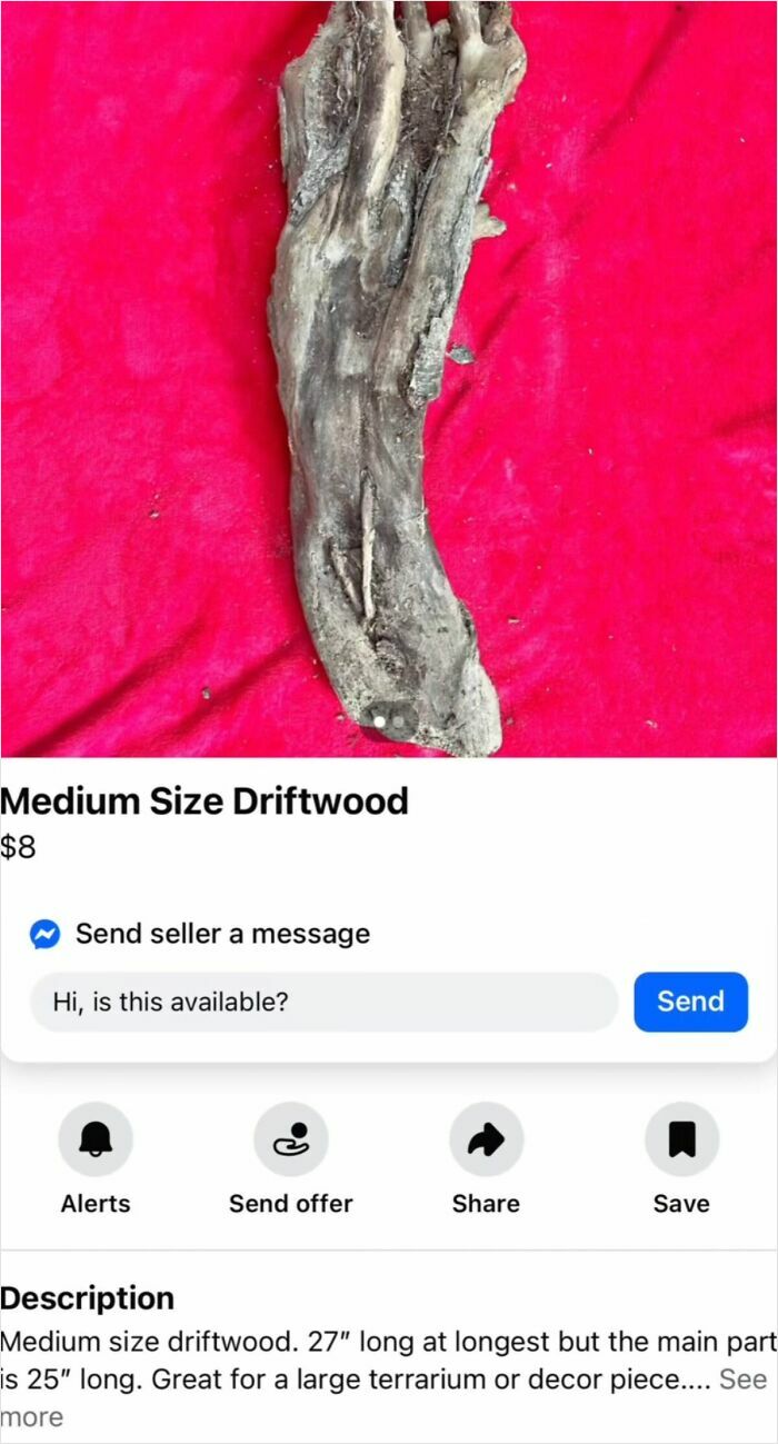 Wait, You Won't Believe These Wild Appalachian FB Marketplace Finds!