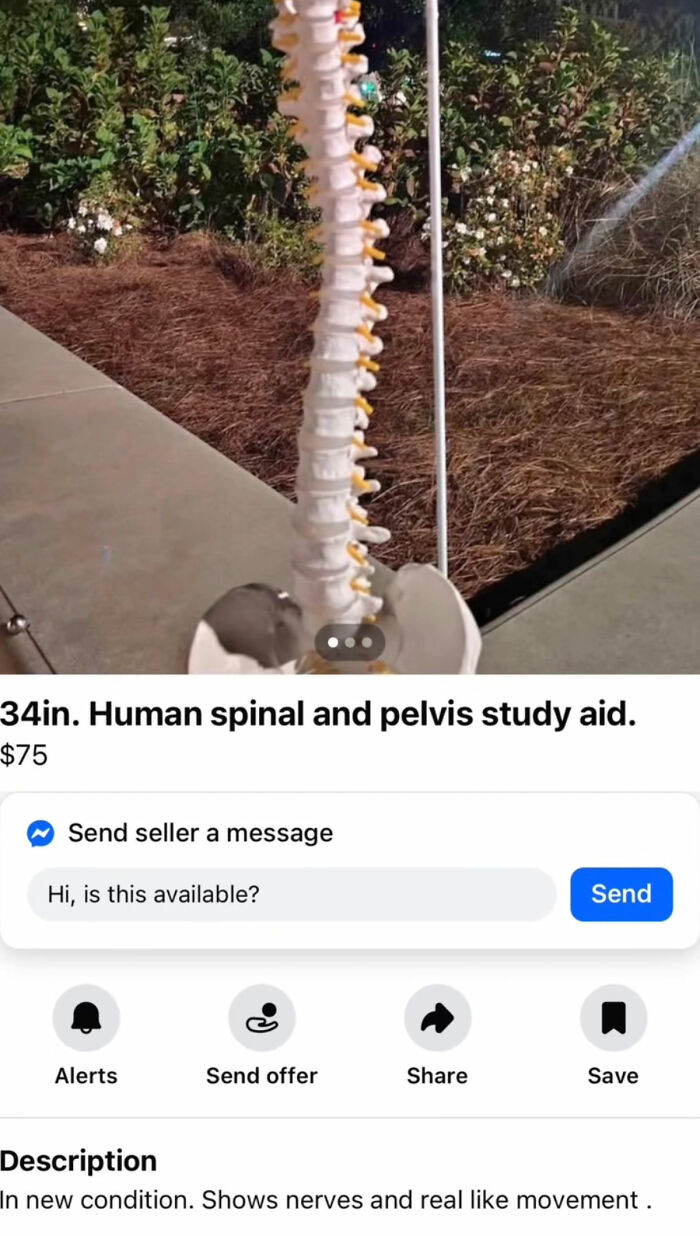 Wait, You Won't Believe These Wild Appalachian FB Marketplace Finds!