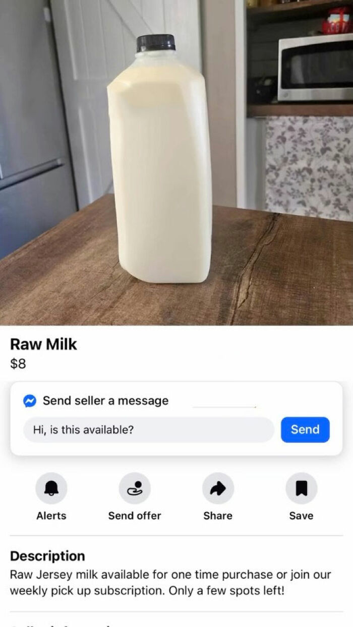 Wait, You Won't Believe These Wild Appalachian FB Marketplace Finds!