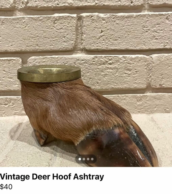 Wait, You Won't Believe These Wild Appalachian FB Marketplace Finds!