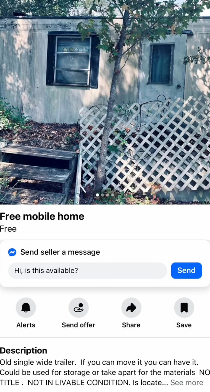 Wait, You Won't Believe These Wild Appalachian FB Marketplace Finds!