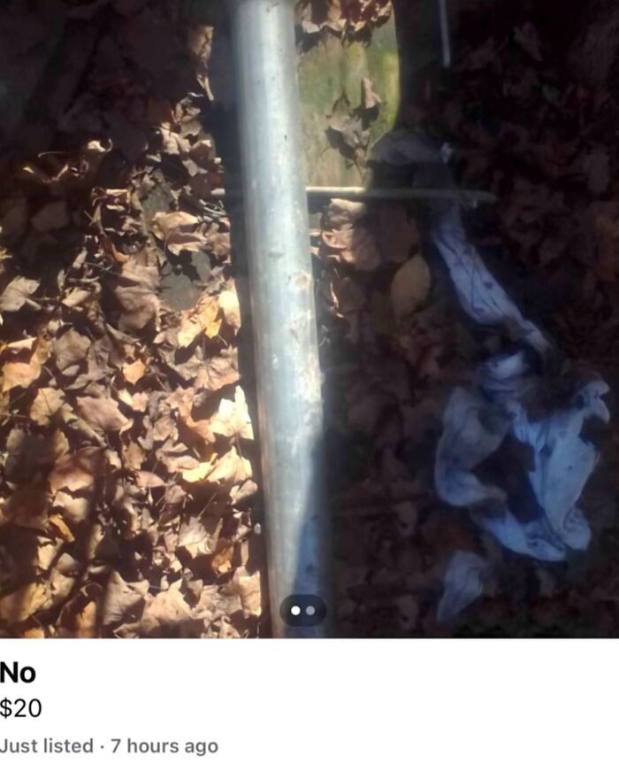 Wait, You Won't Believe These Wild Appalachian FB Marketplace Finds!