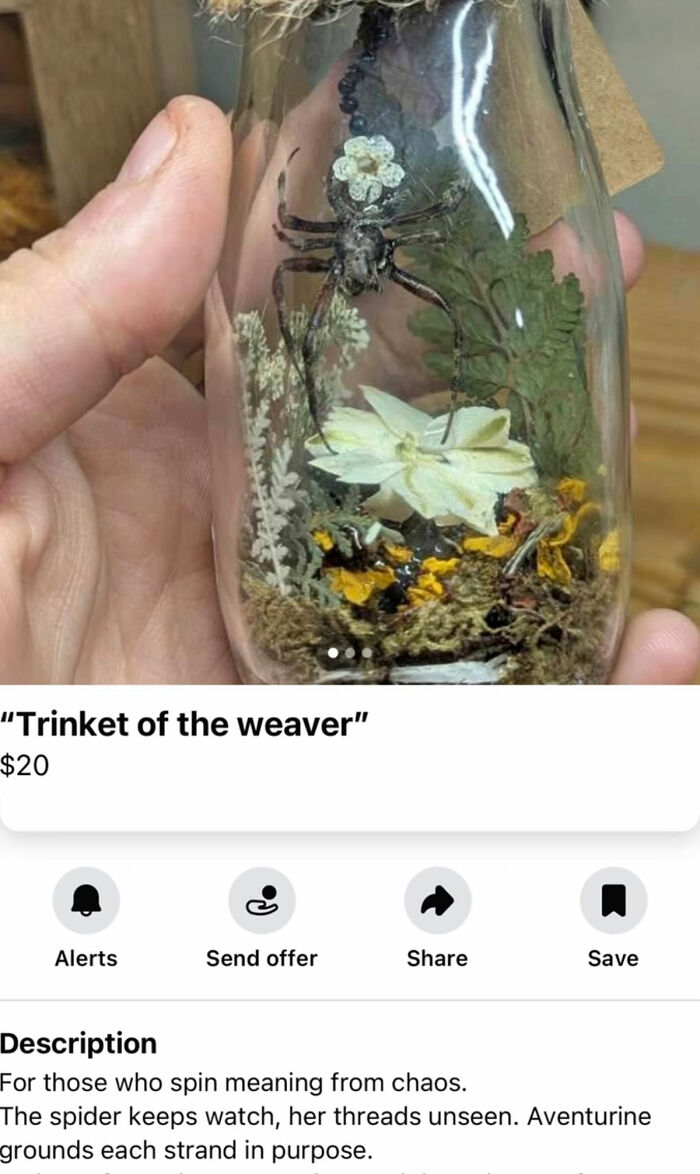 Wait, You Won't Believe These Wild Appalachian FB Marketplace Finds!