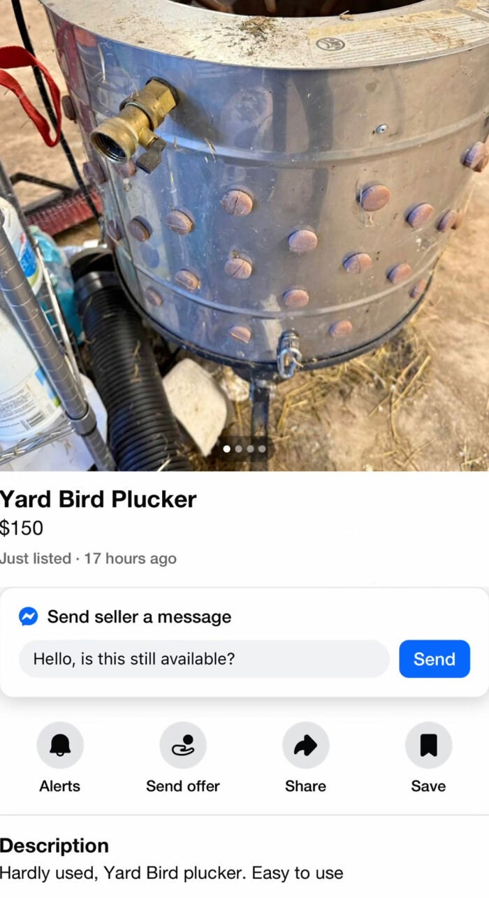 Wait, You Won't Believe These Wild Appalachian FB Marketplace Finds!