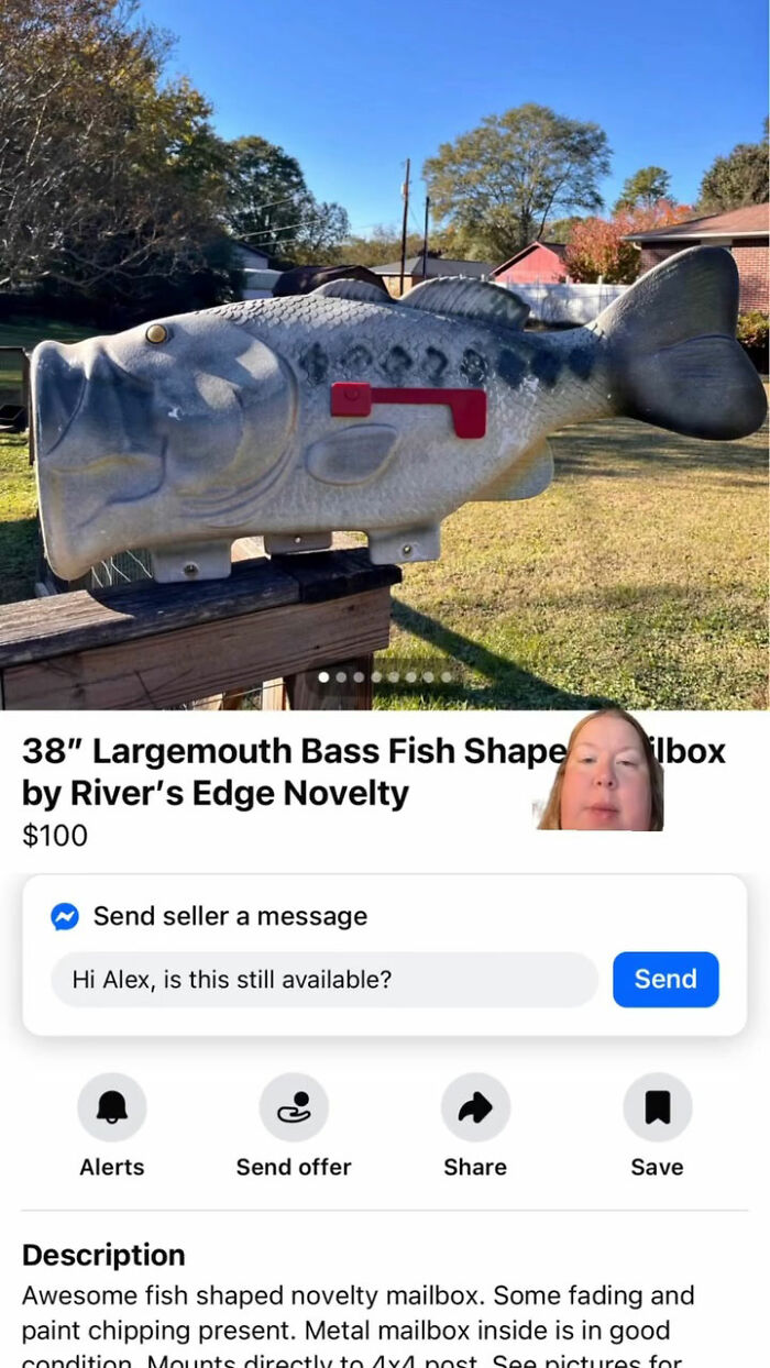 Wait, You Won't Believe These Wild Appalachian FB Marketplace Finds!