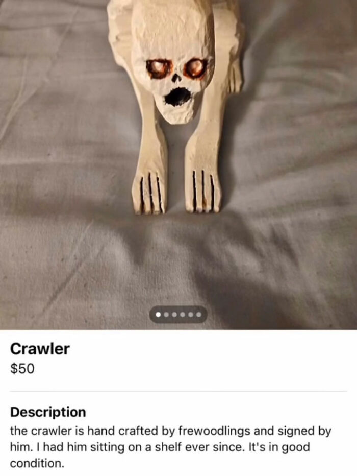 Wait, You Won't Believe These Wild Appalachian FB Marketplace Finds!