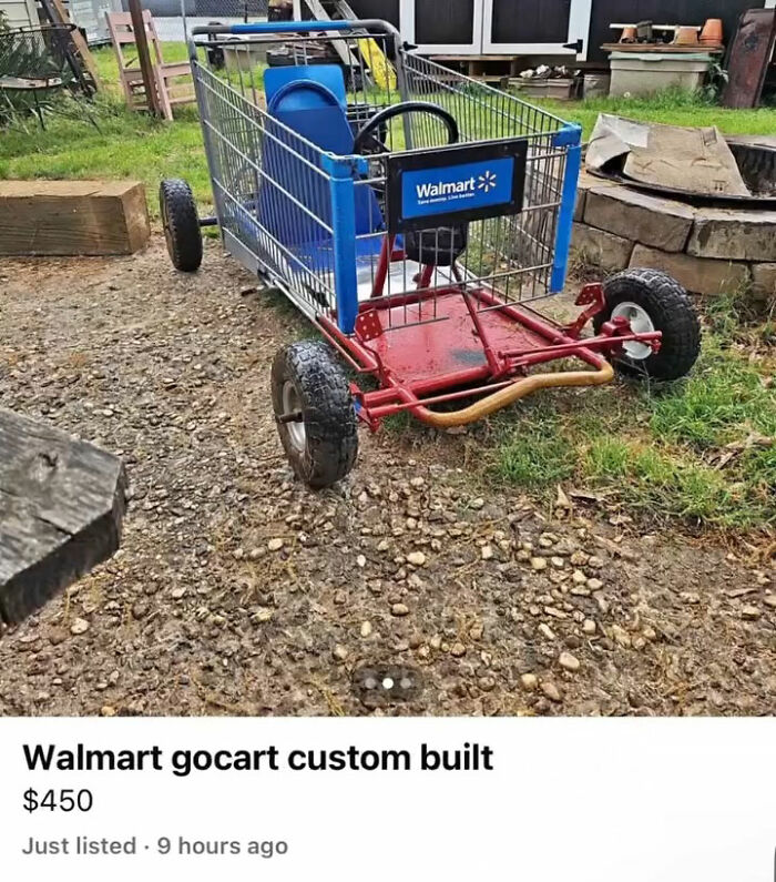 Wait, You Won't Believe These Wild Appalachian FB Marketplace Finds!