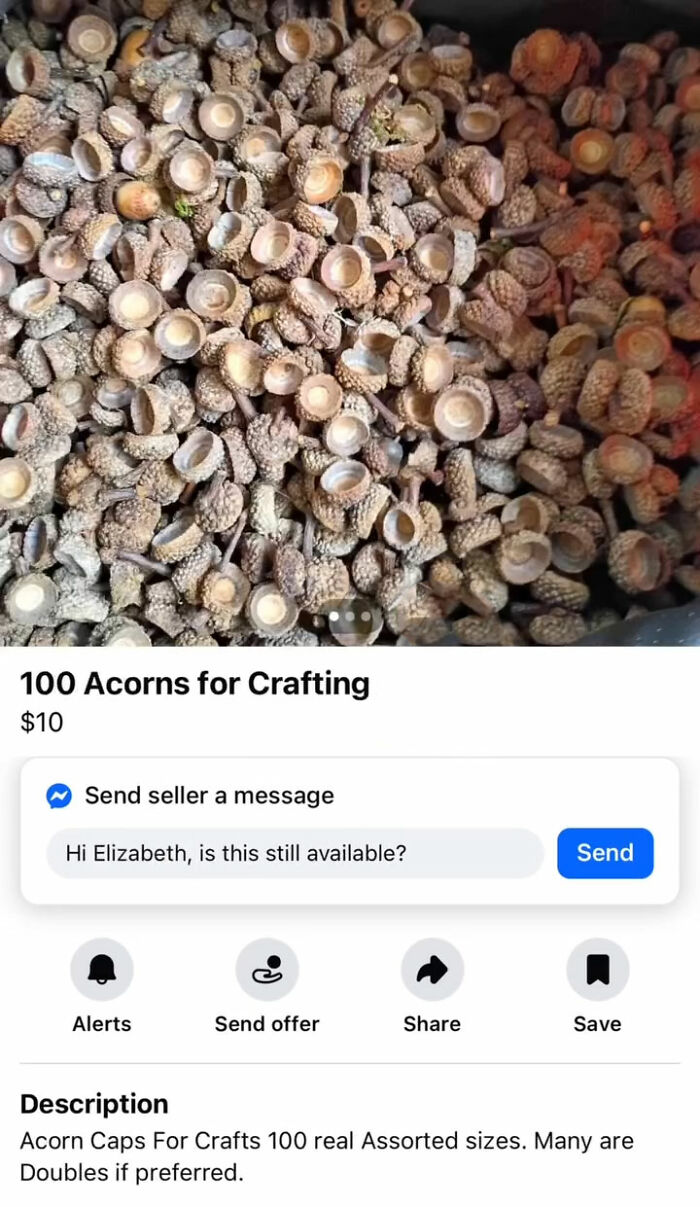 Wait, You Won't Believe These Wild Appalachian FB Marketplace Finds!