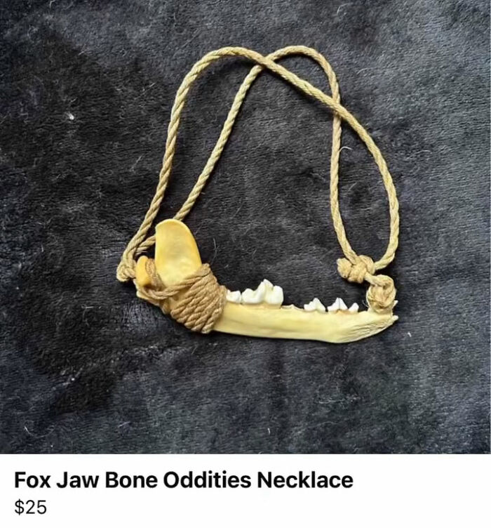 Wait, You Won't Believe These Wild Appalachian FB Marketplace Finds!