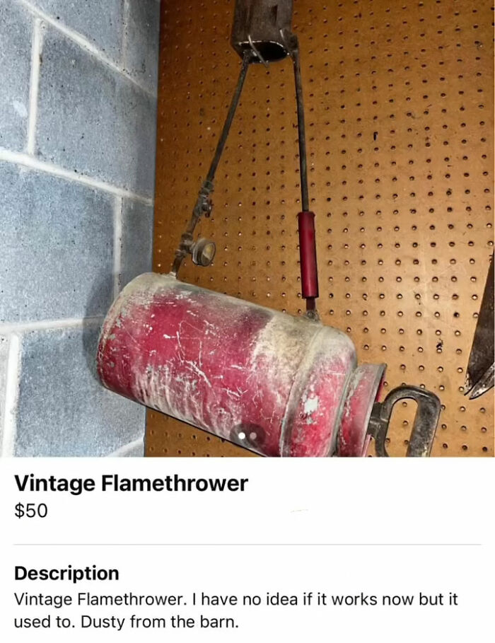 Wait, You Won't Believe These Wild Appalachian FB Marketplace Finds!