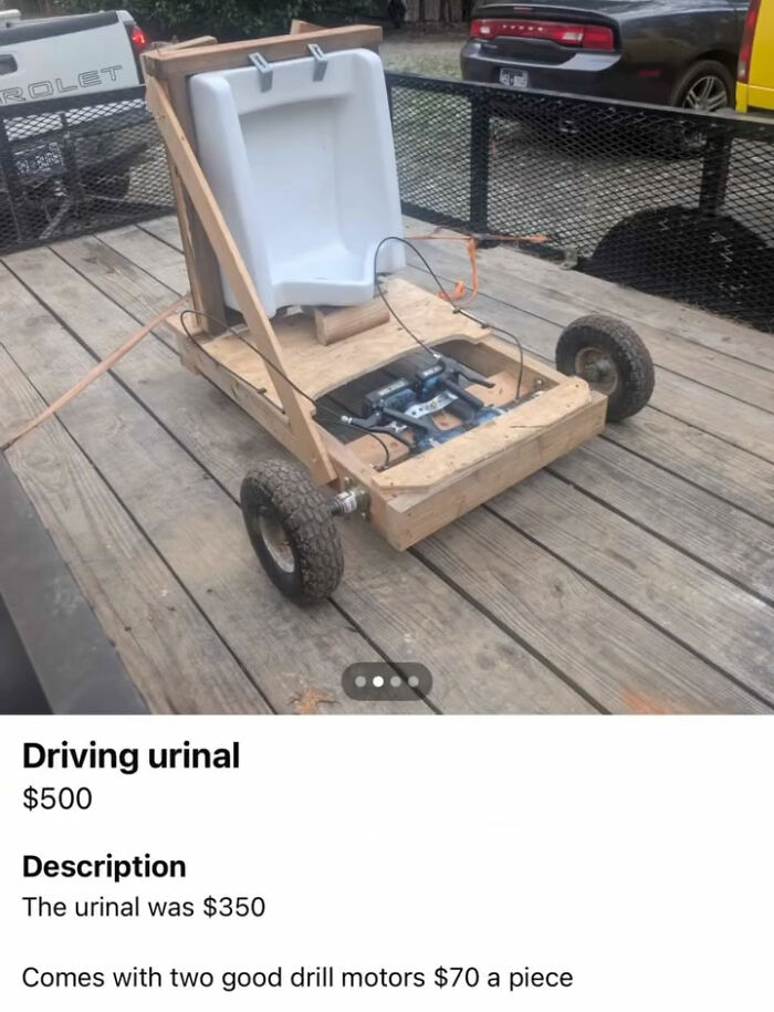 Wait, You Won't Believe These Wild Appalachian FB Marketplace Finds!