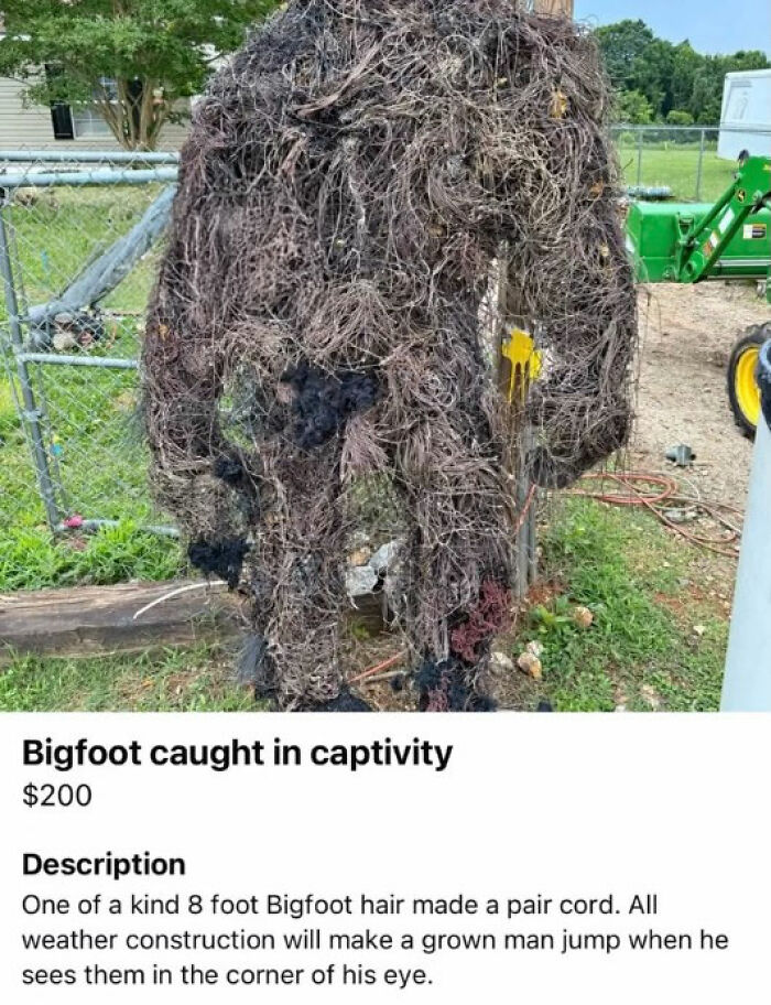 Wait, You Won't Believe These Wild Appalachian FB Marketplace Finds!