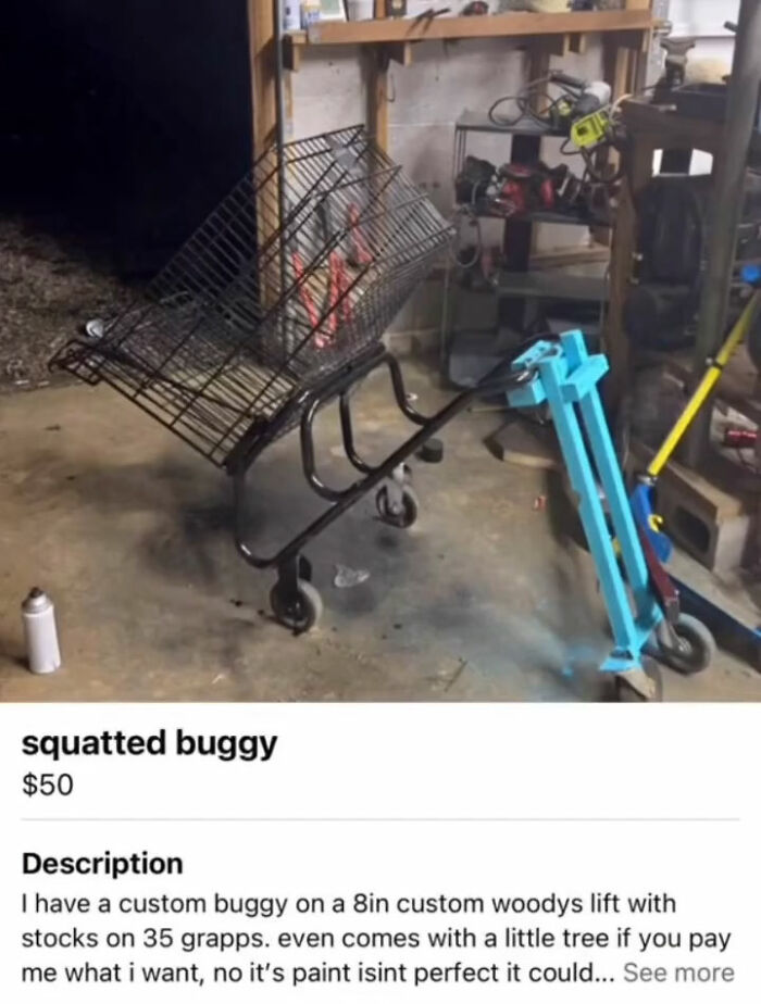 Wait, You Won't Believe These Wild Appalachian FB Marketplace Finds!