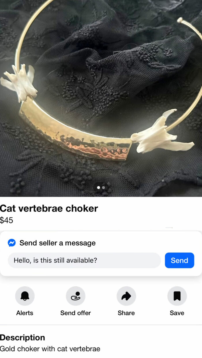 Wait, You Won't Believe These Wild Appalachian FB Marketplace Finds!