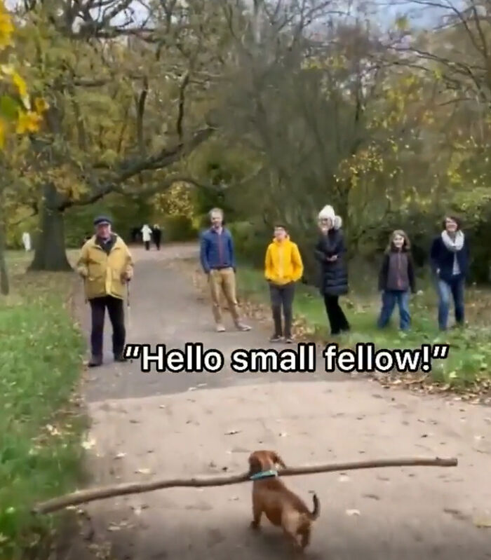 An Adorably Dramatic Main Character