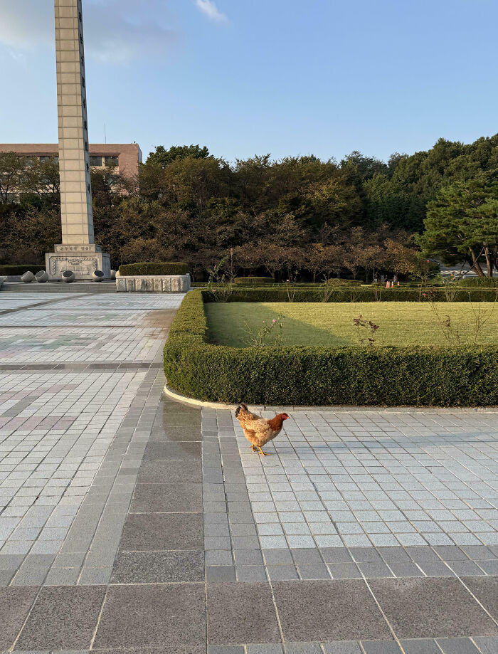 Wait, They Actually Made Universities This Cool?