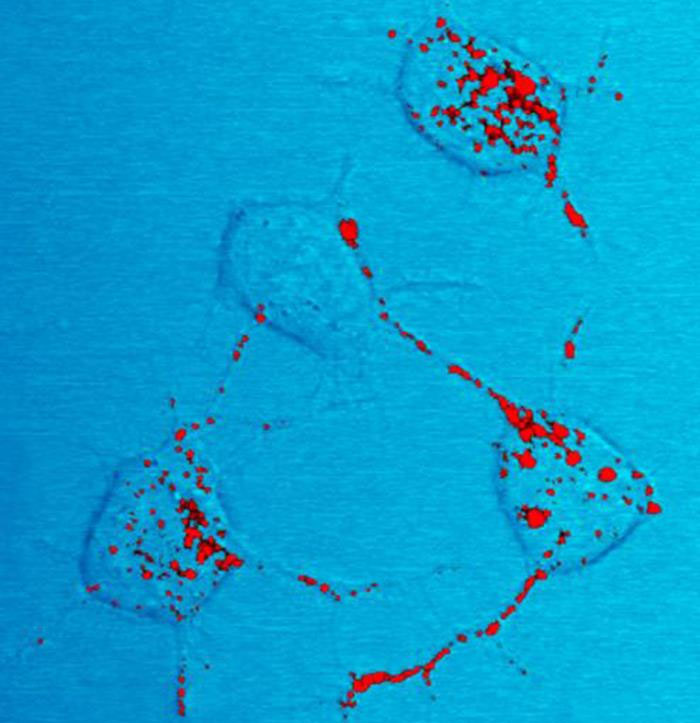 65 Science Facts That Will Totally Freak You Out (But In A Good Way)
