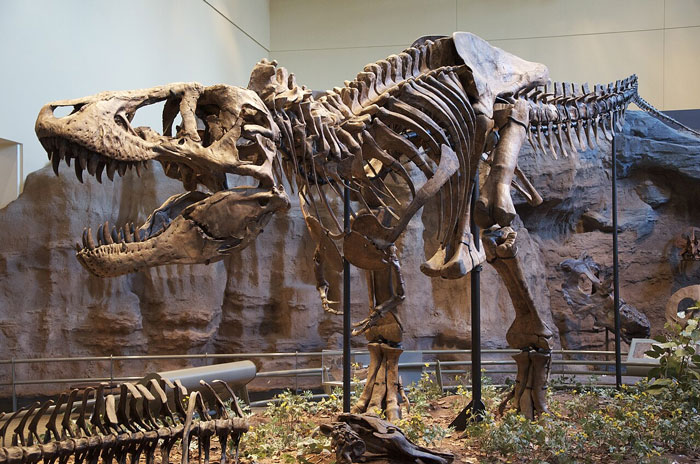 65 Science Facts That Will Totally Freak You Out (But In A Good Way)
