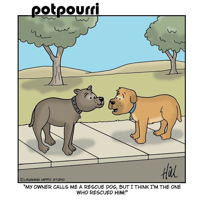 Let's Dive Into the Wildly Funny World of 'Laughing Hippo Studio' Comics!