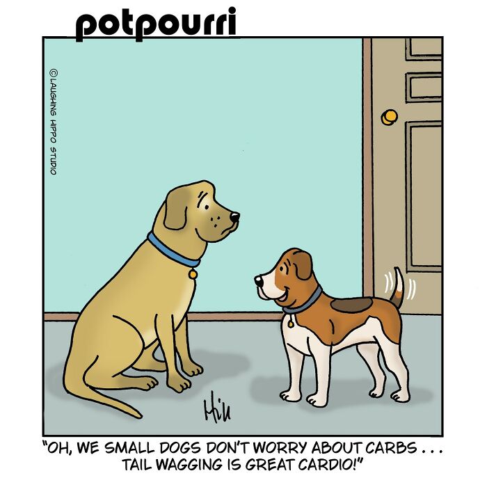 Let's Dive Into the Wildly Funny World of 'Laughing Hippo Studio' Comics!
