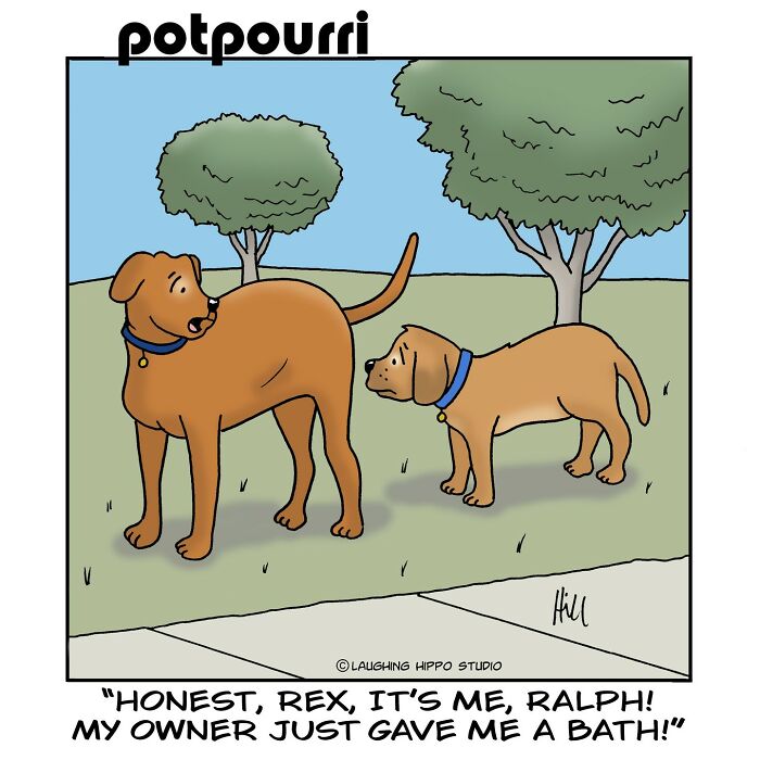 Let's Dive Into the Wildly Funny World of 'Laughing Hippo Studio' Comics!