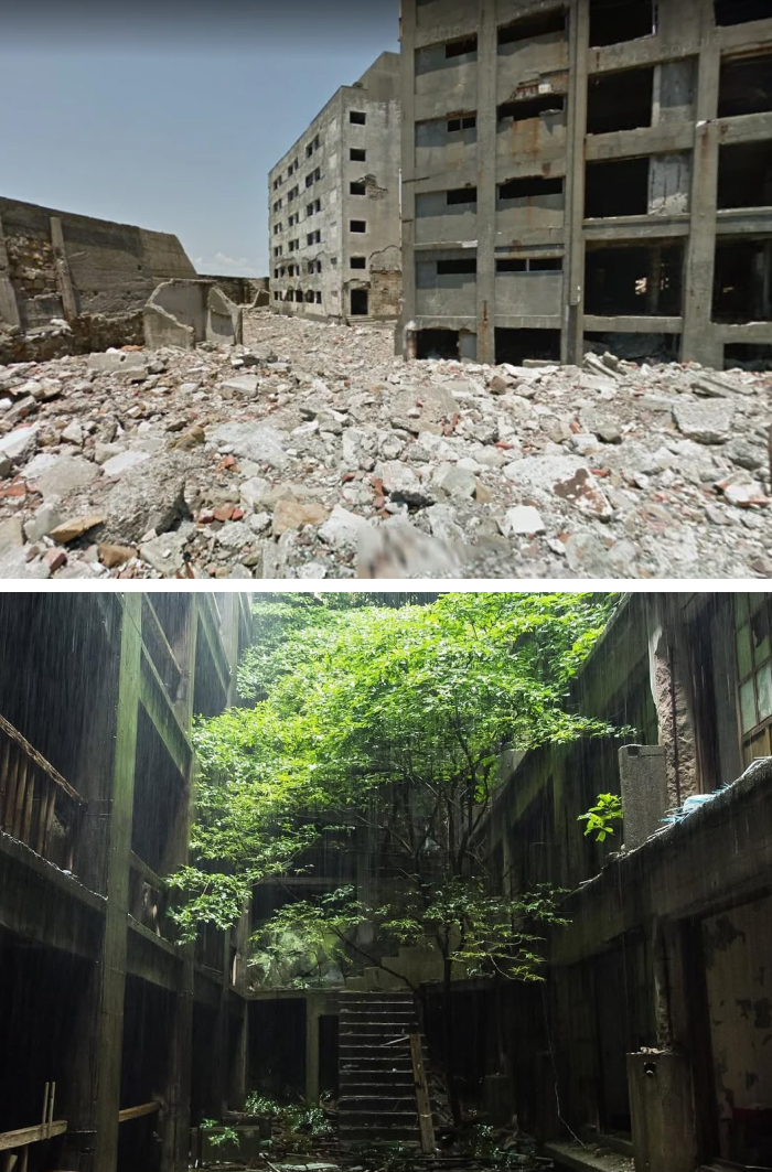 Hashima Island, Japan: Concrete Ghost Town Got Napped By Nature