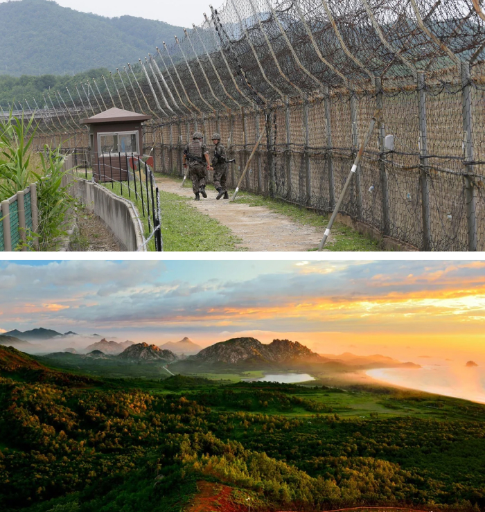 Korean DMZ: The War Buffer Zone Turned Animal Sanctuary