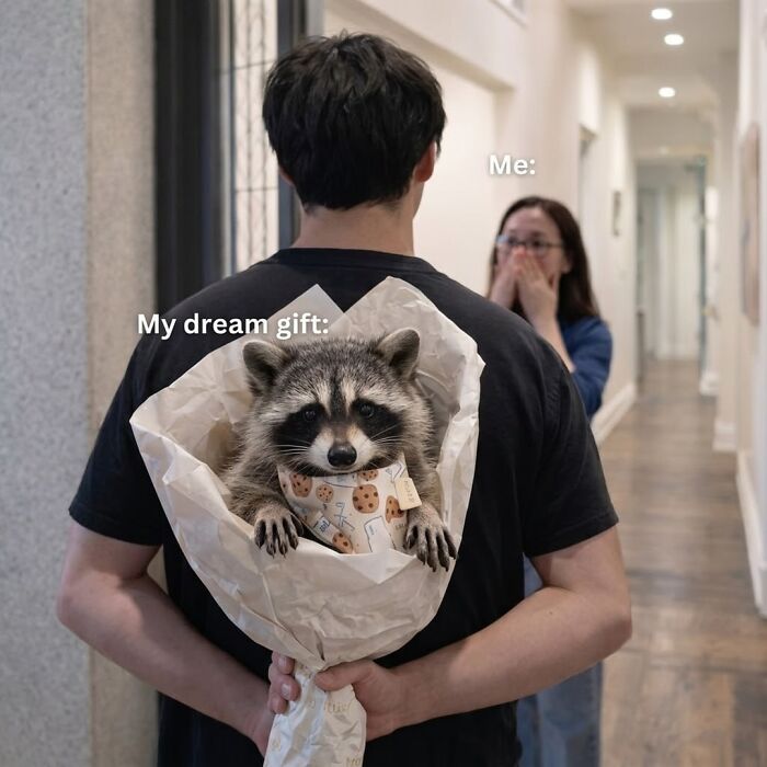 47 Raccoon Pics That Are Basically Tiny, Furry Mischief Machines