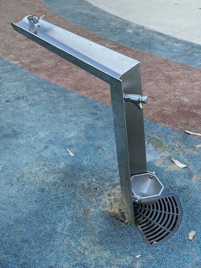 Water Fountain That’s For You, Your Wheelchair, Your Bottle, AND Your Dog!