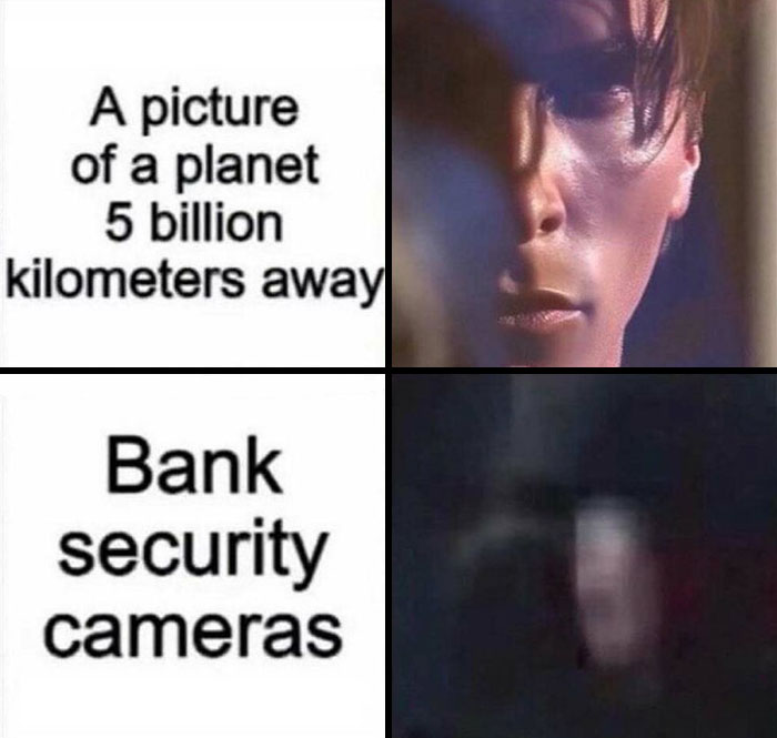 Wait, They Actually Ranked These Totally Chaotic Memes?!