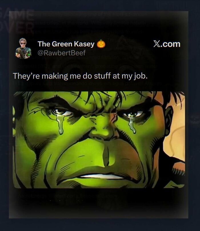 Wait, They Actually Ranked These Totally Chaotic Memes?!