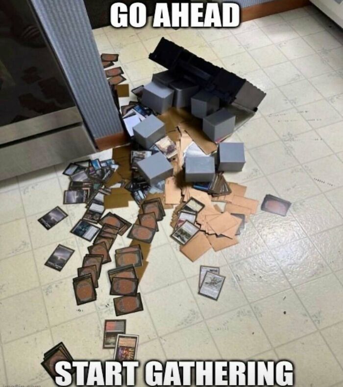 Wait, They Actually Ranked These Totally Chaotic Memes?!