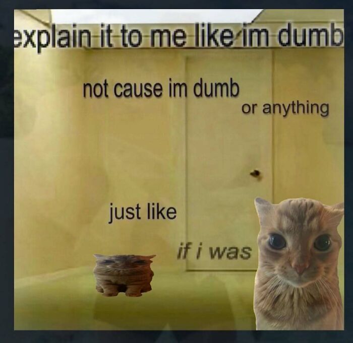 Wait, They Actually Ranked These Totally Chaotic Memes?!