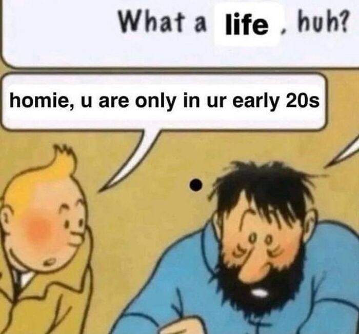 Wait, They Actually Ranked These Totally Chaotic Memes?!
